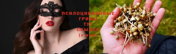 хмурый Абаза