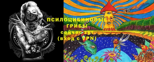 хмурый Абаза