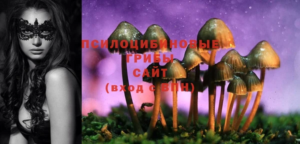 MDMA Протвино